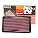 K&N Engine Air Filter: Reusable, Clean Every 75,000 Miles, Washable, Premium, Replacement Car Air Filter: Compatible with 1998-2008 FORD (Tourneo Connect, Transit, Focus, Focus ST170, SVT), 33-2819
