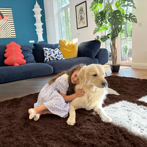 OLANLY 2x4 Machine Washable Runner Rugs for Hallway, Soft Fluffy Shaggy Bedside Rugs for Bedroom, Living Room, Indoor Floor Carpet for Kids Girls and Boys, Nursery Rooms, Home Decor Aesthetic, Coffee