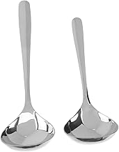 CIYODO 2 Pçs Molhos Asiáticos Colheres De Chá Talheres Colheres De Mistura Servindo Concha De Sopa De Metal Colheres De Concha De Aço Inoxidável Colher De Cabo Curto Colher De Cabo Longo