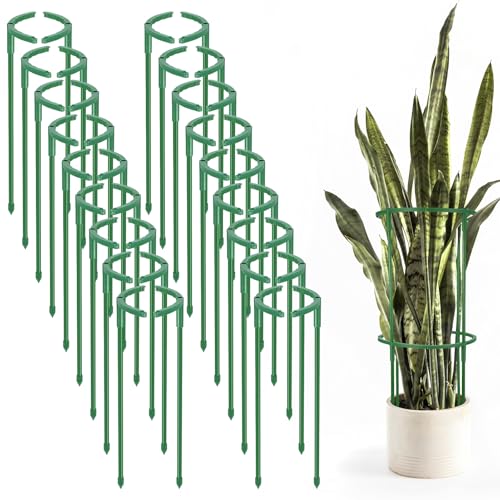 Hoemwarm 36 pali di supporto per piante, supporto semicircolare per piante da interno, impilabili, in plastica, 24 cm, per piante rampicanti di pomodori, monstera, peonia, ortensia