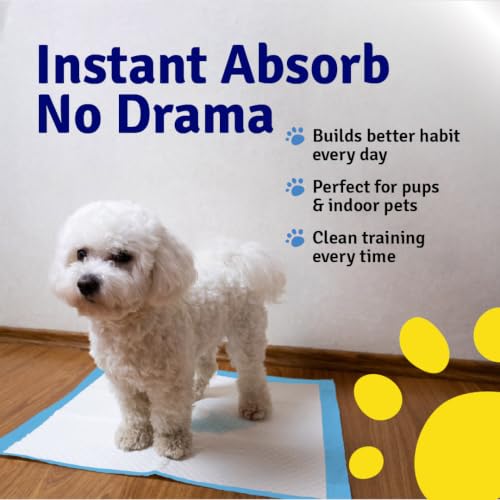 Image of Pet Pee Training Pads for Dogs, Cats & Puppies, 5 Layer Leak-Proof, Large, Quick Dry, Super Absorbent, Odour Control, Non-Slip, Indoor Potty Training (Disposable 50 Pads, 60x60 cm)