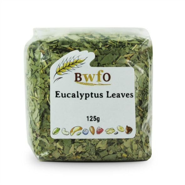Buy Whole Foods Eucalyptus Leaves (125g)
