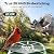 HARYMOR Smart Bird Feeder with Camera Solar Powered, 2K HD Live Video, 10,000+ Bird Species AI Identification, Wild Bird House Feeders for Outdoors, Instant Arrival Alerts, Ideal Gift for Bird Lovers