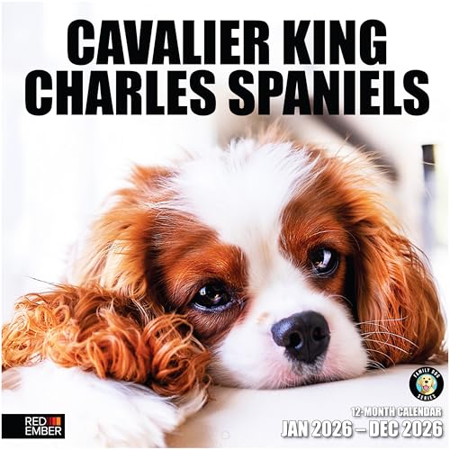 RED EMBER Cavalier King Charles Spaniels 2026 Wall Calendar 12 Month | 12" x 24" Open | Thick & Sturdy Paper | Giftable | Calendar 2026