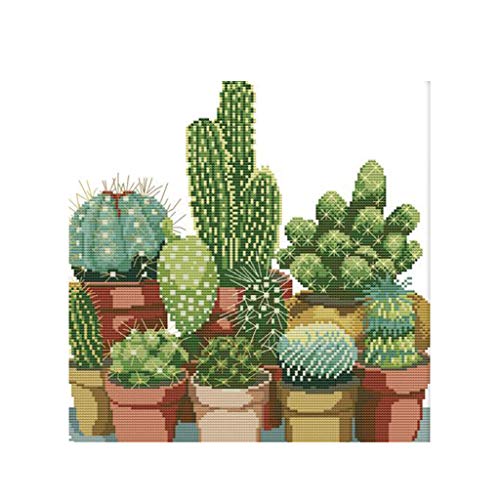 Kit de broderie au point de croix pré-imprimé cactus Tityvirnix 14CT