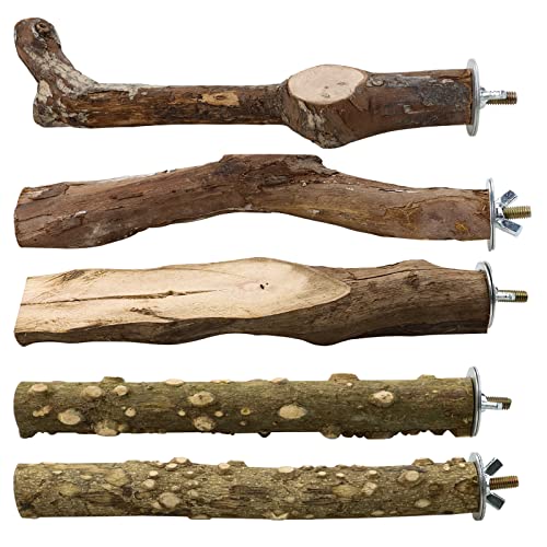 Top 10 Best Wood For Bird Perches Reviews & Buying Guide Katynel