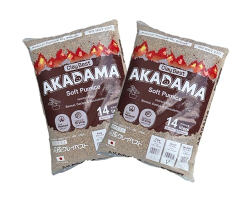 Đԋʓy NCxXg  28Li14L2܃Zbgj dԋʓy ~  R쑐 T{e