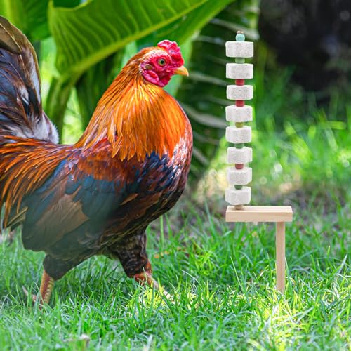 Dnoifne 2 Pack Hühnerkauspielzeug, Kükenschnabel Schleifen Kalziumstein mit Holzpfahl, Hühnerkäfig Zubehör, Käfigspielzeug für Nymphensittiche, Sittiche, Papageien, Wellensittiche, Ratten, Hamster,