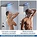 ROVOGO LED Shower Panel Tower System, 5-Function Shower Column with Rainfall Waterfall Shower Head, 4 Body Jets, Handheld and Tub Spout, Stainless Steel Brushed