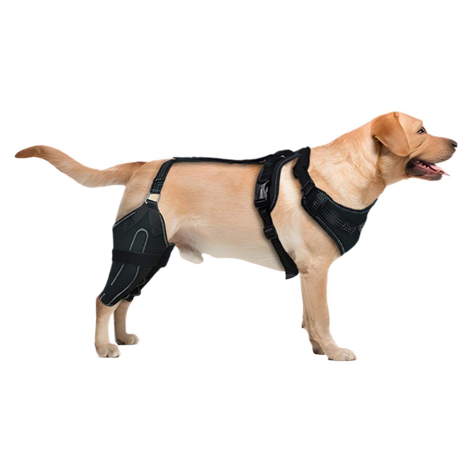 Poludatly Dog A-CL Knee Brace, Rear Leg Braces For Dogs, Adjustable Dog Back Leg Support, Dogs Back Leg Wrap, Canine Care CCL Support Brace For Cruciate Ligament Injuries