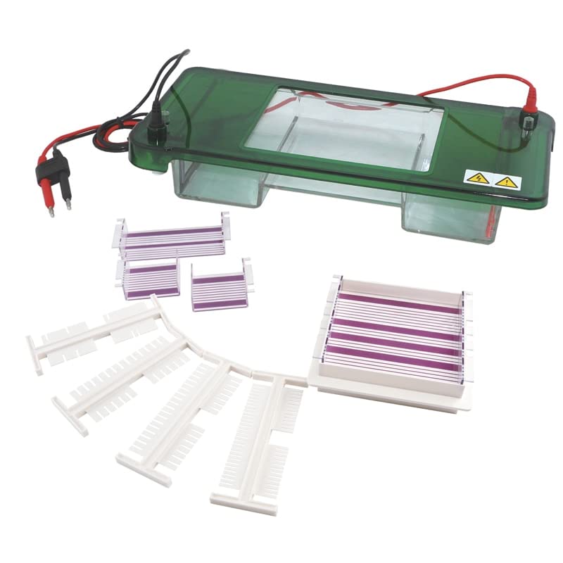 Horizontal Electrophoresis Machine/Apparatus for Gene Test DNA Molecular Diagnosis