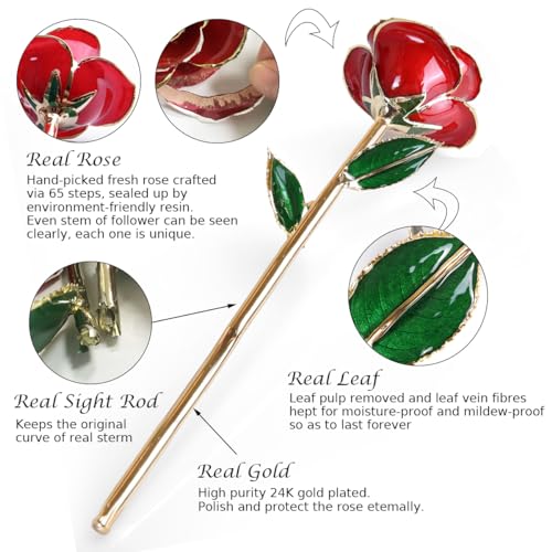 Image of Sinvitron Gold Dipped Infinity Rose Forever Flower Decor, Resin Preserved Real Rose Birthday Gift for Women, Anniversary Present for Mom (Red)