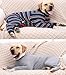 SUYUKU Genesungsanzug für Hunde Anti Leck Welpen Langärmelig Body für Elisabethanisches Kragen Einteiler mit Beinen Operationsbody Weich Bequem Warm Pyjama Kleidung für Haustiere (Grau, M)