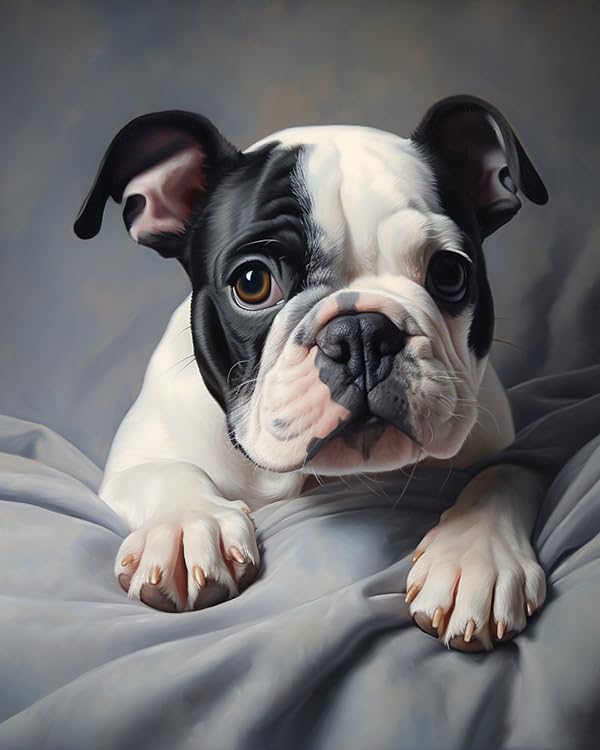 Paint by Number Kits Pet Dog Bulldog DIY Digital Canvas Oil Painting Art Decor for Adults Beginner,40x50cm Frameless