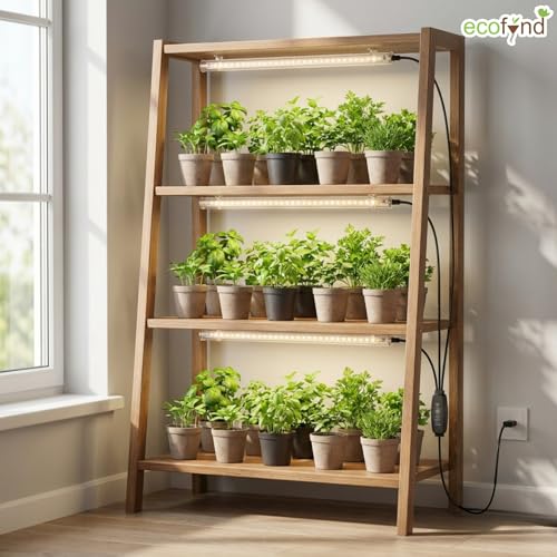 Image of ecofynd Aira3 2 Years Warranty Grow Light for Indoor Plants (Seedlings & Leafy herbs), White Spectrum Auto On /Off Automatic Timer, 3 Head 10 Watt LED Artificial Sunlight, 1.8M Wire Type C Connector