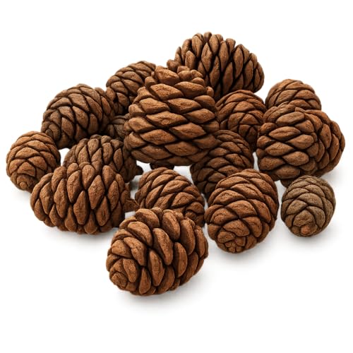 NaDeco Mammutbaum-Zapfen 1kg | 90 Stück | 3–5 cm | Sequoia-Zapfen...
