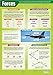 Forces | Science Posters | Laminated Gloss Paper measuring 33â€ x 23.5â€ | STEM Charts for the Classroom | Education Charts by Daydream Education