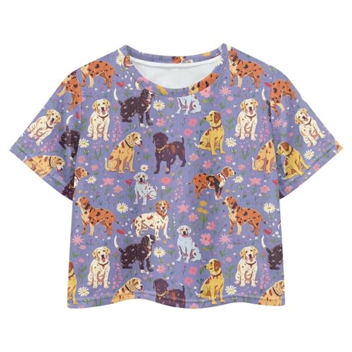 Image of Girls Fashion Crewneck Tee Shirts Casual Short Sleeve Crop Top Summer Outfits 5-14 Year