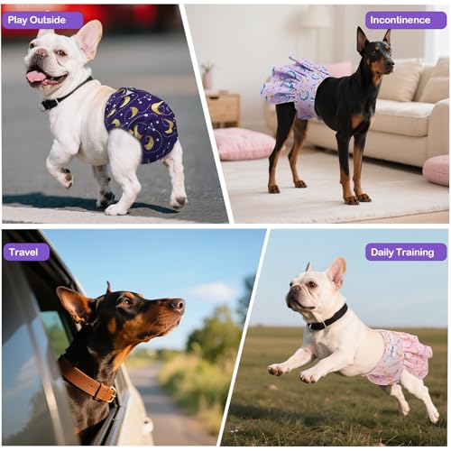 Image of Female Dog Diapers Reusable No Tail Hole Period Panties Washable Diapers Female for Docked-Tail Frenchie French Bulldog Boston Terrier Without Tail (2 Pack Regular+2 Pack Skirts) U-WWDQB04L