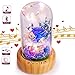 Produktbild Vinmin Upgrade Enchanted Rose Nachttischlampe, Konservierte Rosen-Blumen in Glaskuppel, handgemachte frische Rose Nachtlicht, Bluetooth Lautsprecher, Geschenk für Geburtstag, Muttertag,Blau
