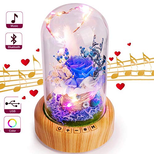 Preisvergleich Produktbild Vinmin Upgrade Enchanted Rose Nachttischlampe, Konservierte Rosen-Blumen in Glaskuppel, handgemachte frische Rose Nachtlicht, Bluetooth Lautsprecher, Geschenk für Geburtstag, Muttertag,Blau