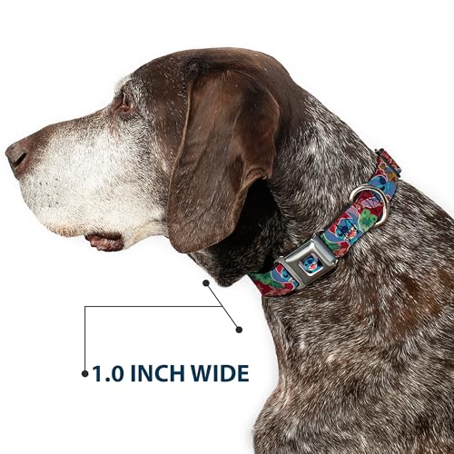 Collier de chien Stitch Buckle Down grand cou réglable solide