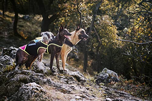 Julius-K9, IDC Neoprene Hundekleidung, Size: M, Schwarz und Gelb