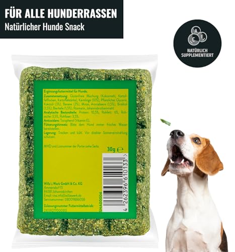 Viva Vegan Hundesnacks Riegelbox 10× – Vegane & glutenfreie Hundeleckerli mit Keimlingen, Banane, Ananas, Spirulina & Kokosöl – 300g Pflanzliche Superfood-Riegel für Hunde – von RiNa