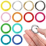 12 Stück Klein Karabiner 24mm Karabinerhaken Rund Bunt, Schlüsselanhänger Ringe, Metall Schlüsselring Federspaltringe für Bastelarbeiten DIY Taschenzubehör