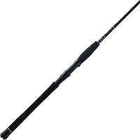 Vista 22 de Caña de pescar de agua salada PENN Squadron III de lanzamiento costero