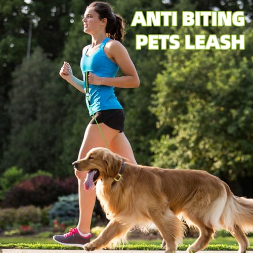 Image of Mihachi Dog Leash Chew Proof, Soft Reflective Padded Handle Dog Chain Leashes, Waterproof Anti Biting Pets Leashes, Stainless Steel Wire Rope Lead for Small Medium Large Dogs Outdoor, 5FT, Green
