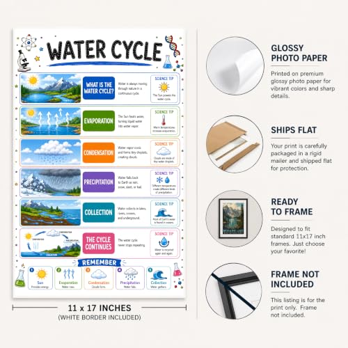 banner4you Water Cycle Classroom Poster, Science Classroom Decor, Water Cycle Chart for Elementary & Middle School, Earth Science Wall Art, STEM Teacher Classroom Decoration, 11x17 Inch Unframed - Image 3