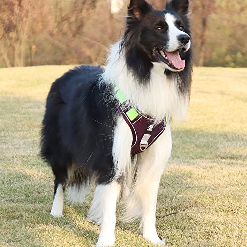 Tdtok Dog Harness For Large Medium Small Dogs, Reflective No Pull Dog Harnesses With Handle, Durable No Choke Front Clip Nylon Dog Harness With Breathable Air Mesh Padded Quick Release Buckle #TOP2