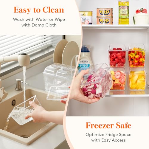 Image of Lifewit Condiment Caddy, Garnish Serving Tray Platter for Mimosa Bar Accessories (without Accessories, 3 Containers)