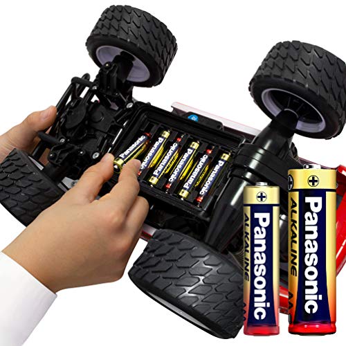 Image of Panasonic Alkaline AA Battery, Pack of 2