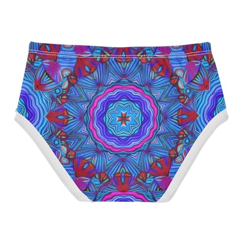 Kaleidoscope Blue Mandala Panties for Girl Girls Underwear Toddlers Cotton Florals Briefs Kids Undies 2t2