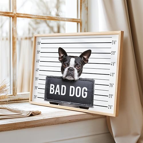 Image of aj decor Boston Terrier Mugshot Wall Art Print Poster, Dog Pet Lover Picture Painting Artwork Bedroom Living Room Office Dining Room 150D (Boston Terrier Mugshot, 11 inch W x 14 inch L, Wood Frame)