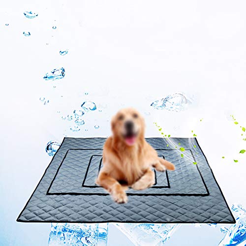 chengsan - Almohadillas de Entrenamiento para Cachorros y Perros, Lavables, Reutilizables, Impermeables, de rápida absorción