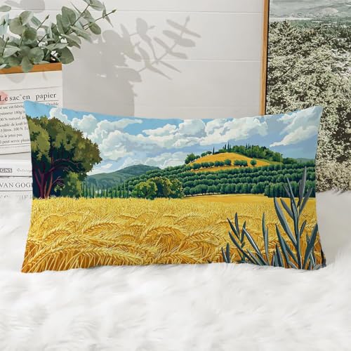 Coussins canape velours lavables lot de 2 housses douces 70x50 cm