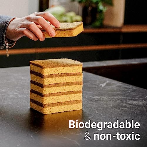 Vove | 10 Pack Natural Kitchen Sponges | Eco-Friendly | Biodegradable | Compostable | Plastic-Free | Zero Waste | Non-Scratch | Reusable | Heavy Duty Scouring Pad #TOP4