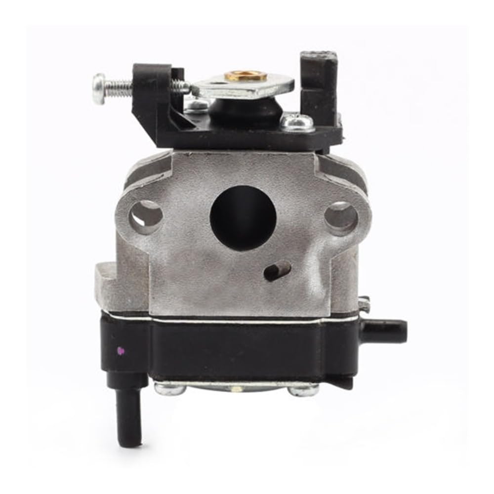 Carburateur 308480001 pour réparer un souffleur BM254 en panne de démarrage