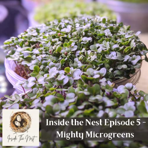 Couverture de Inside the Nest Episode 5 - Mighty Microgreens!
