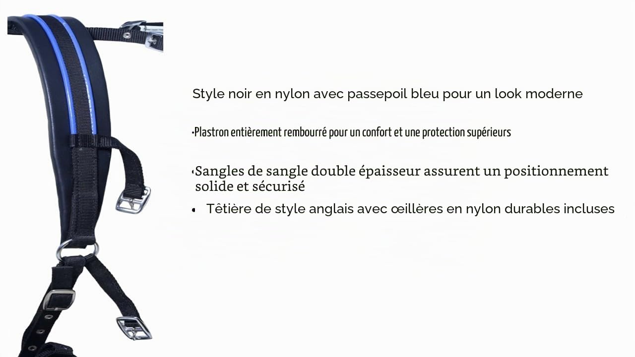 Harnais de conduite en nylon pour chariot de cheval Noir/bleu (Mini Shetland)