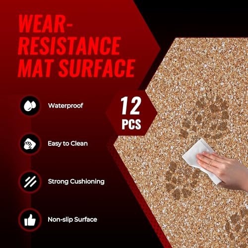Image of SUPERJARE 0.79'' Extra-Thick Exercise Equipment Mats, 12 Pcs 48 Sq Ft Rubber Top Floor Tiles with High Density EVA Foam, Interlocking Gym Flooring for Home Gym, Workout Mat, Wood