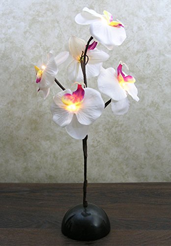 Banberry Designs Artificial Orchid Plant - Lighted White And Purple Silk - 17" H - Battery Powered - Party Accents - Wedding Decorations - Mothers Day Arrangement - Decorative Home Décor #TOP4