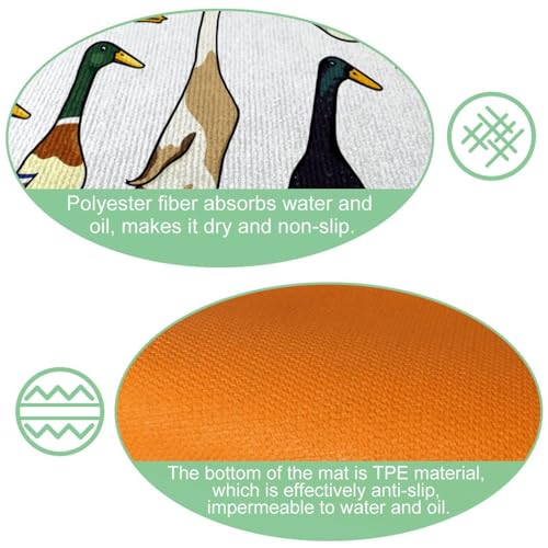 Tapis de cuisine indiens de qualité supérieure avec dos antidérapant durable