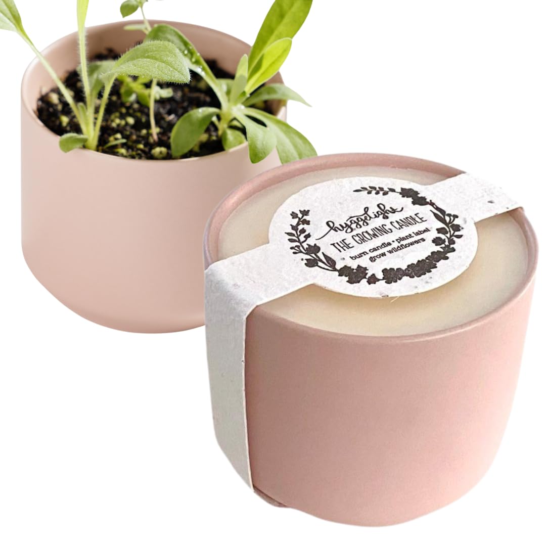 Hyggelight Die wachsende Kerze. Haben Sie genug davon, leere Kerzen zu werfen? Probieren Sie unsere Lösung mit weniger Abfall aus. 237 ml, 45 Stunden Brenndauer, 100 % Sojawachs, handgefertigter