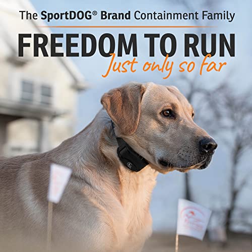 SportDOG Training Tips