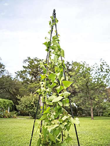Gardeners Supply Company Extra Tall Garden Teepee Trellis | Sturdy Plant Support for Peas, Beans, Squash, and Other Garden Climbing Vine Plants | Quick and Easy Setup - 87' H