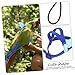 Toddmomy Traction Parrot Harness with Leash Portable Bird Leash for Cockatiels and Birds Wear-Resistant Design for Safe Outdoor Training Lightweight and Washable